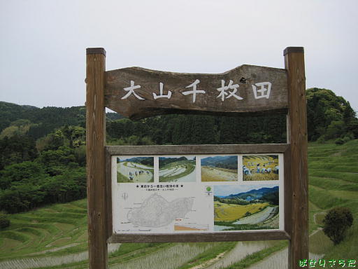イメージ 7