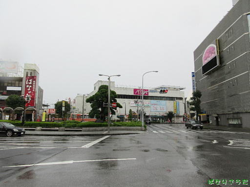 イメージ 6