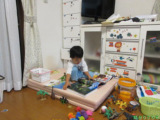 イメージ 14
