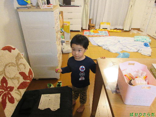 イメージ 7