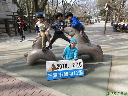 イメージ 3