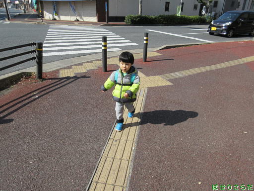 イメージ 3