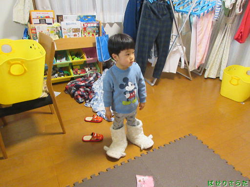 イメージ 3