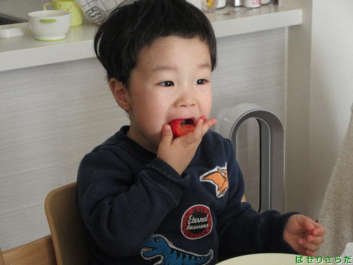イメージ 2