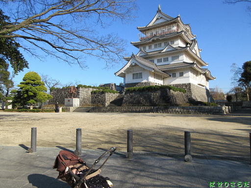 イメージ 7