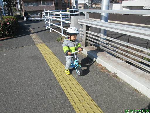 イメージ 4