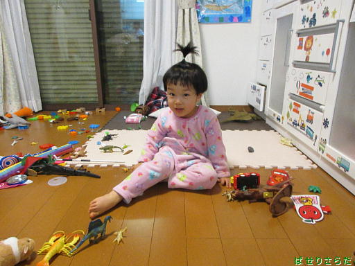 イメージ 7