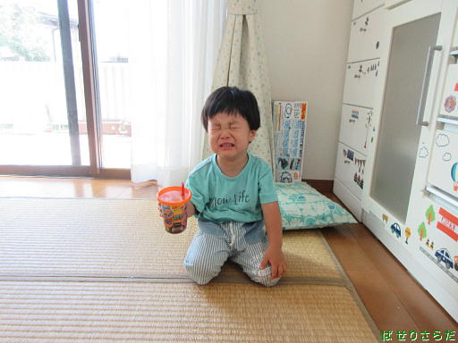 イメージ 4