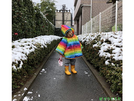 イメージ 13