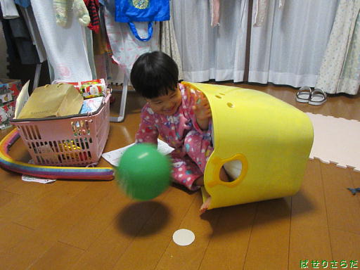 イメージ 8