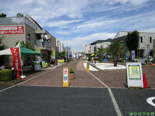 イメージ 4