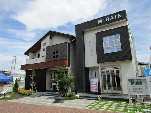 イメージ 6