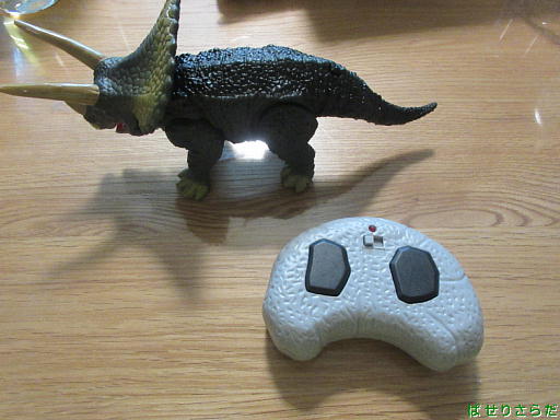 イメージ 5