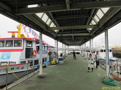 イメージ 5