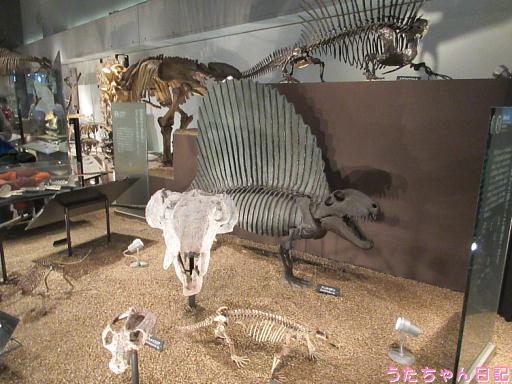 190511b19.jpg