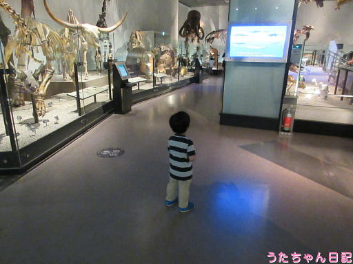190511b191.jpg