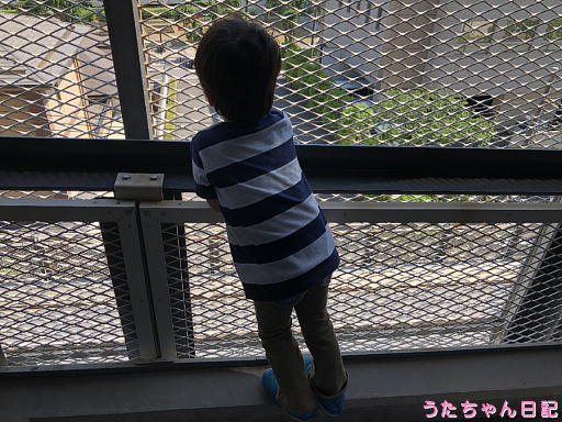 190617a06.jpg