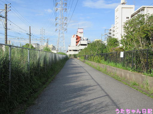 190813a691.jpg