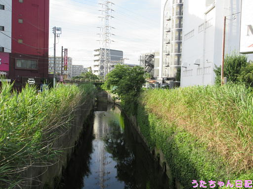 190813a74.jpg