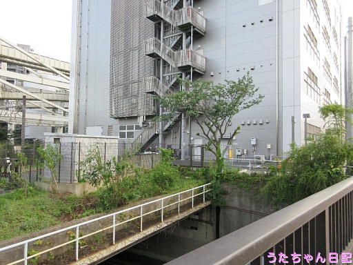 190815a35.jpg