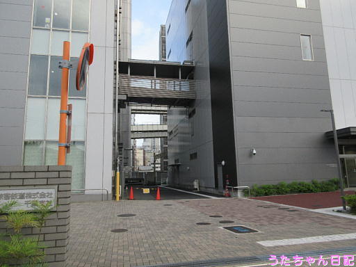 190815a37.jpg