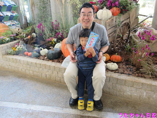 f:id:utachan0831:20191120205409j:plain