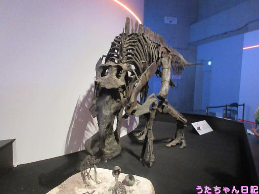 f:id:utachan0831:20191123221553j:plain