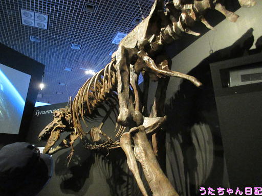 f:id:utachan0831:20191123221631j:plain