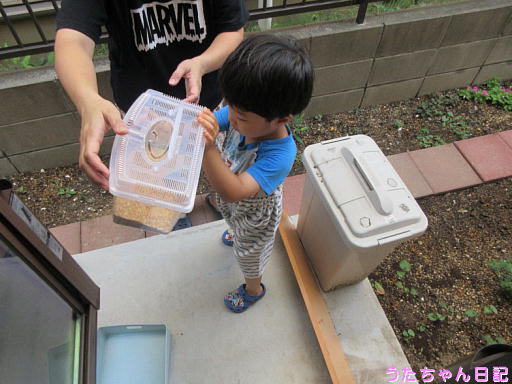 f:id:utachan0831:20191202214124j:plain