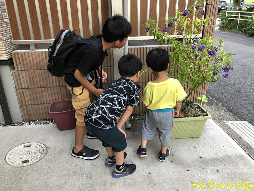 f:id:utachan0831:20191215232645j:plain f:id:utachan0831:20191215232645j:plain