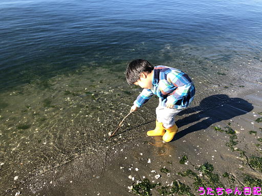 f:id:utachan0831:20191216220807j:plain f:id:utachan0831:20191216220807j:plain