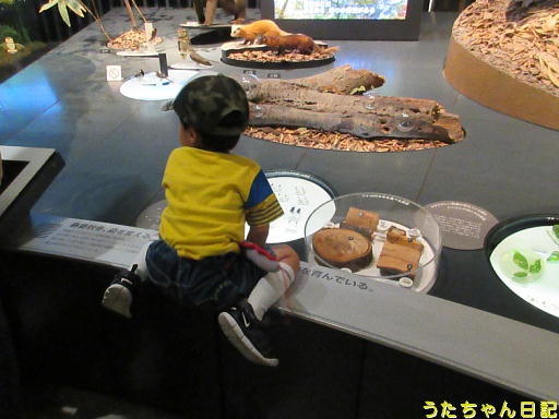 f:id:utachan0831:20191216223121j:plain