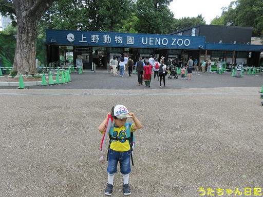 f:id:utachan0831:20191216223131j:plain