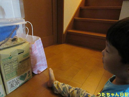 f:id:utachan0831:20191216223214j:plain