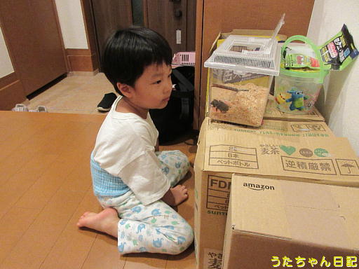 f:id:utachan0831:20191220231003j:plain