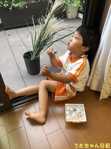 f:id:utachan0831:20191220232746j:plain