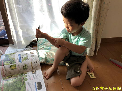 f:id:utachan0831:20191230175148j:plain