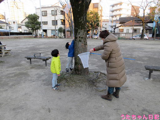 f:id:utachan0831:20200213095211j:plain