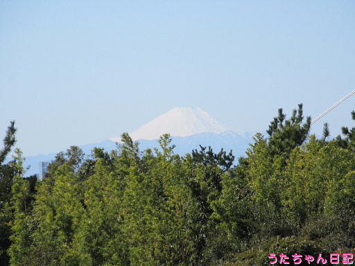 f:id:utachan0831:20200215112816j:plain