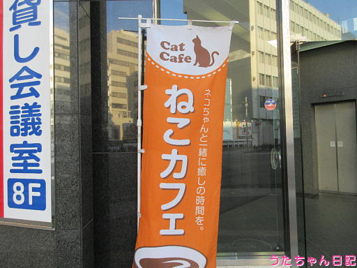 f:id:utachan0831:20200215114455j:plain