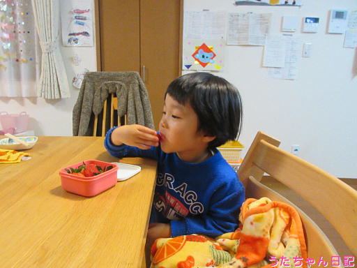 f:id:utachan0831:20200221101820j:plain f:id:utachan0831:20200221101820j:plain