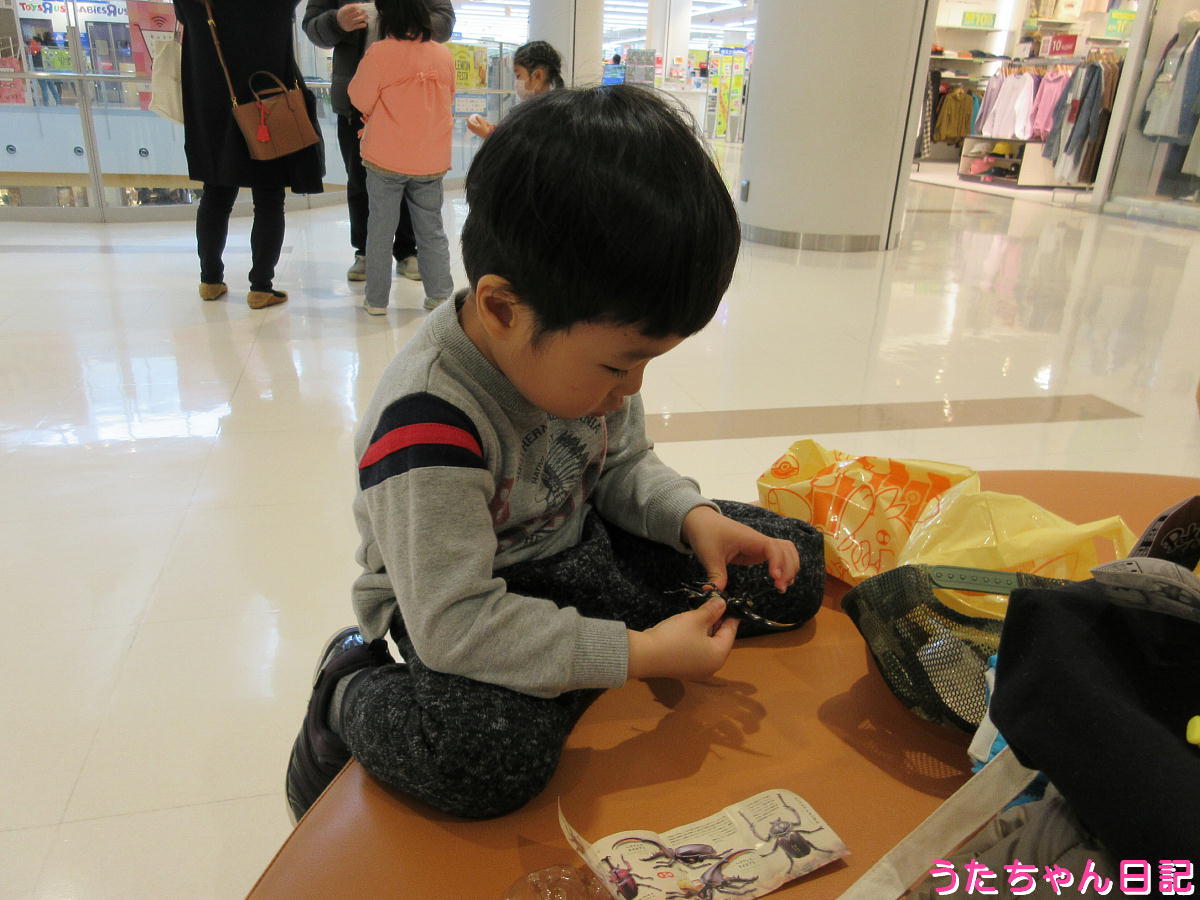 f:id:utachan0831:20200312121709j:plain f:id:utachan0831:20200312121709j:plain