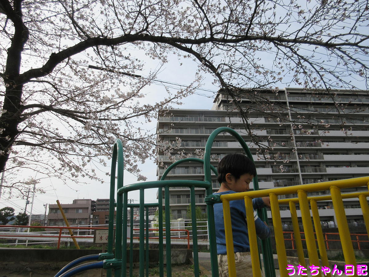 f:id:utachan0831:20200325212140j:plain f:id:utachan0831:20200325212140j:plain