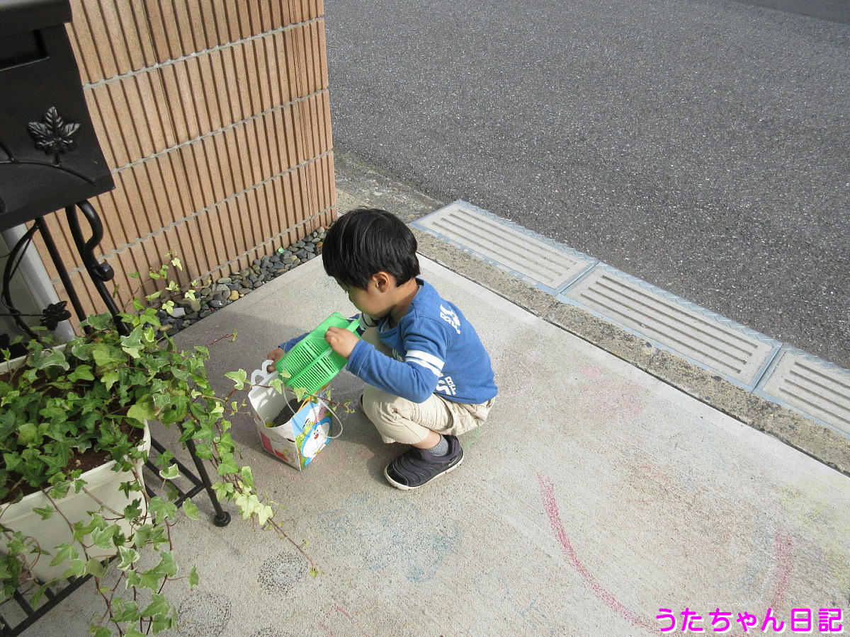 f:id:utachan0831:20200325212235j:plain f:id:utachan0831:20200325212235j:plain