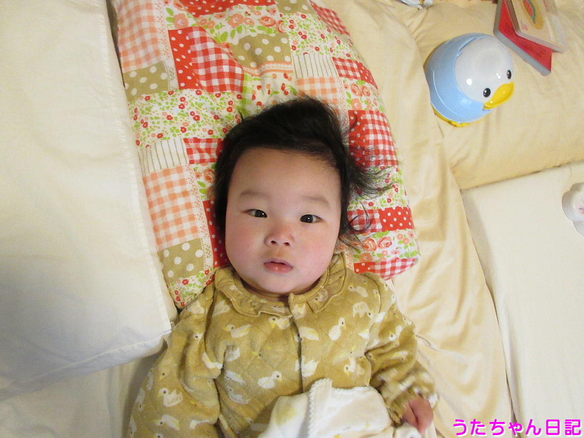 f:id:utachan0831:20200331173511j:plain f:id:utachan0831:20200331173511j:plain