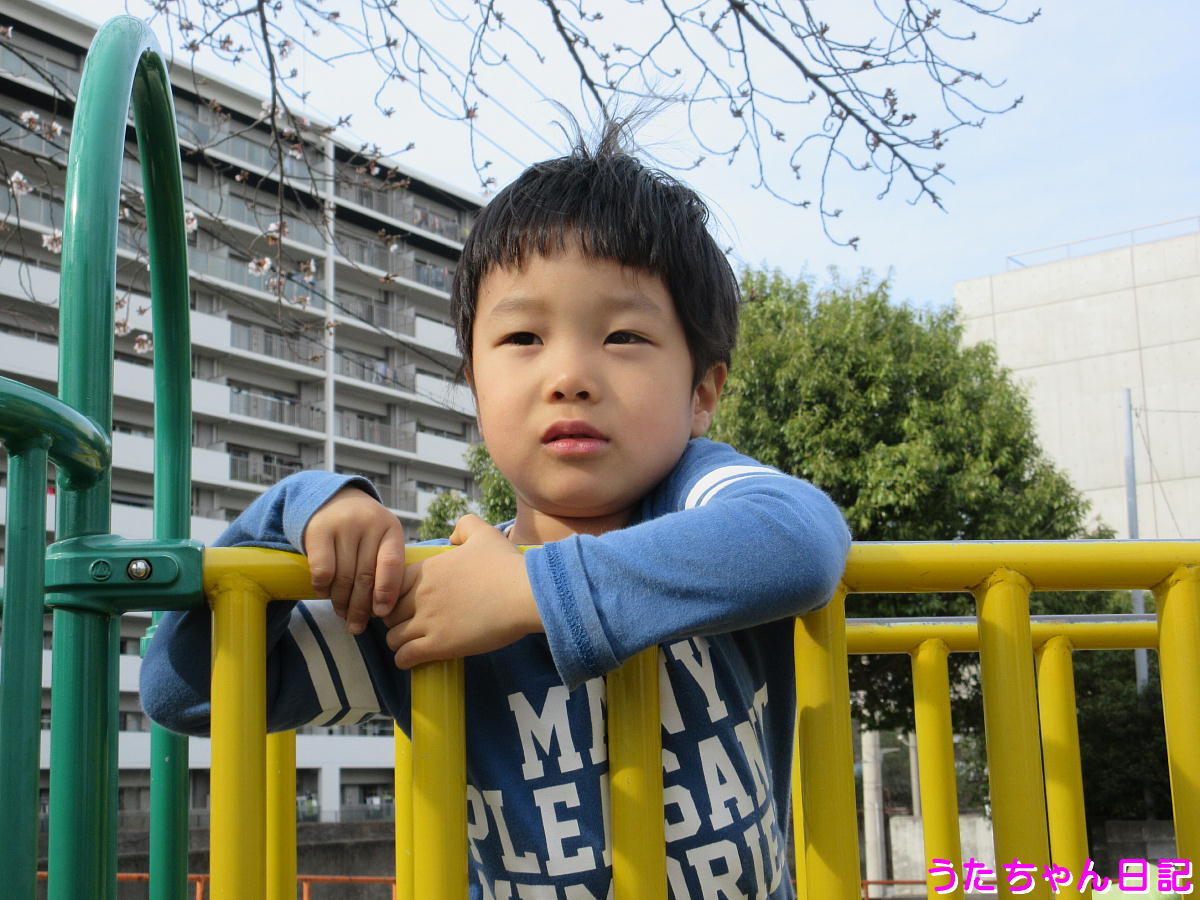 f:id:utachan0831:20200414230313j:plain