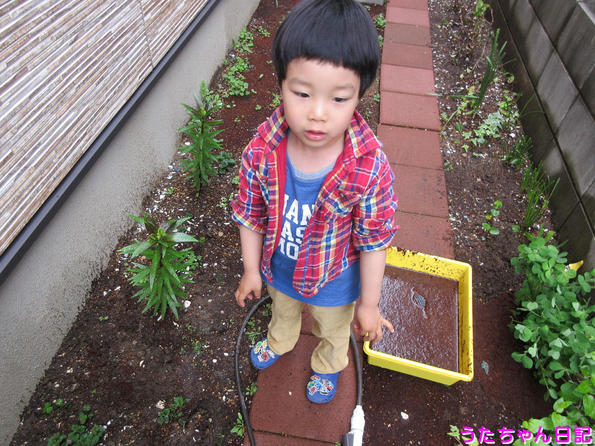 f:id:utachan0831:20200425091145j:plain
