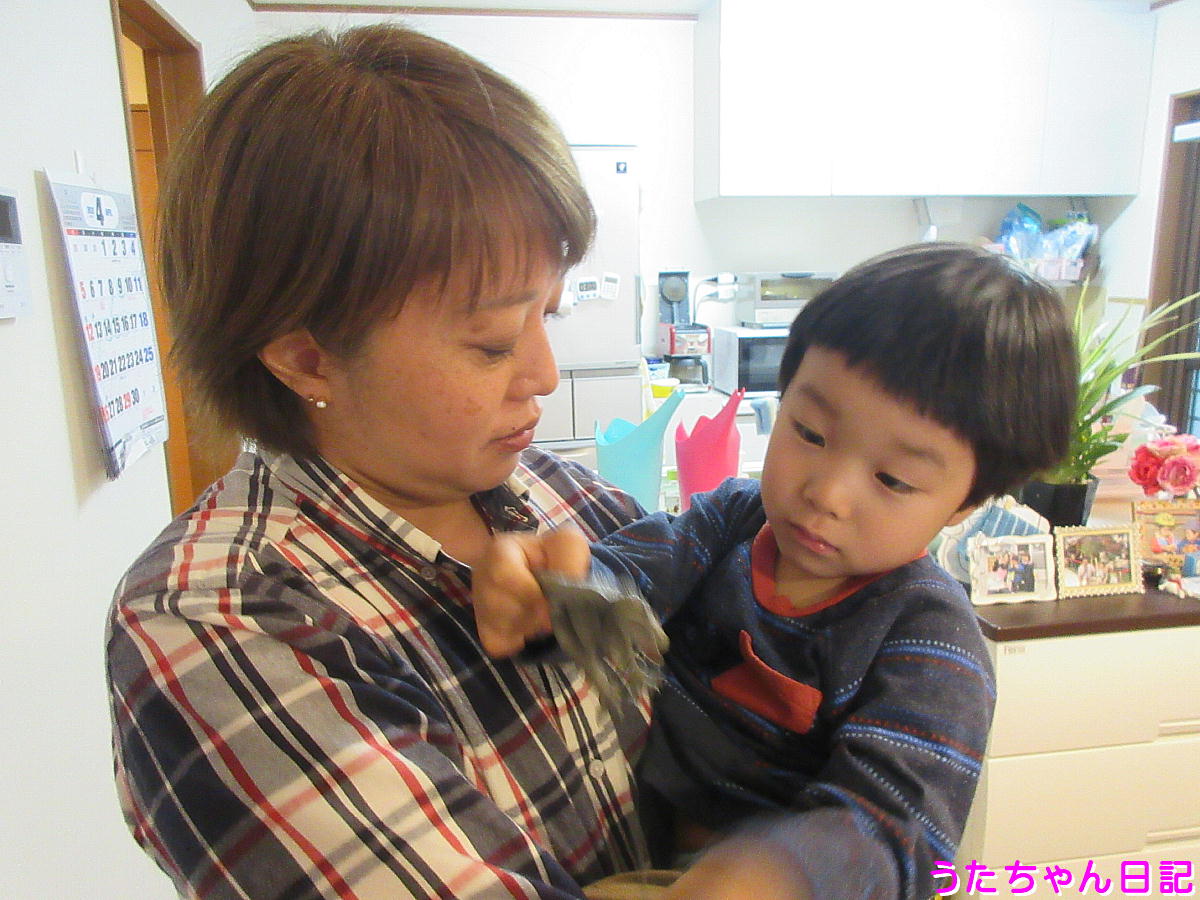 f:id:utachan0831:20200428085109j:plain f:id:utachan0831:20200428085109j:plain