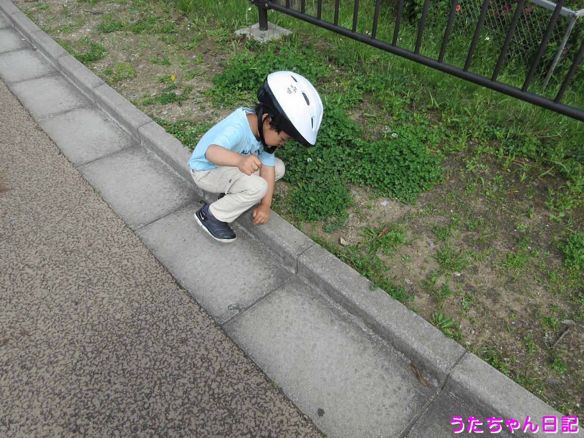 f:id:utachan0831:20200509085835j:plain