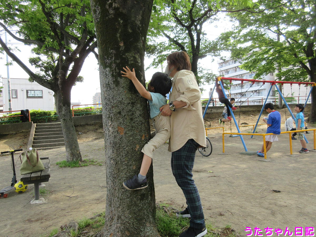 f:id:utachan0831:20200509085915j:plain